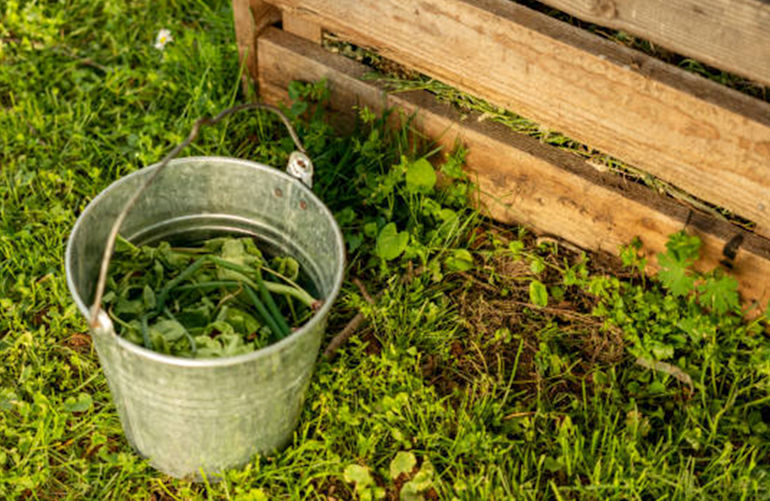 comment-pieger-les-moustiques-dans-un-seau-attrape-moustique